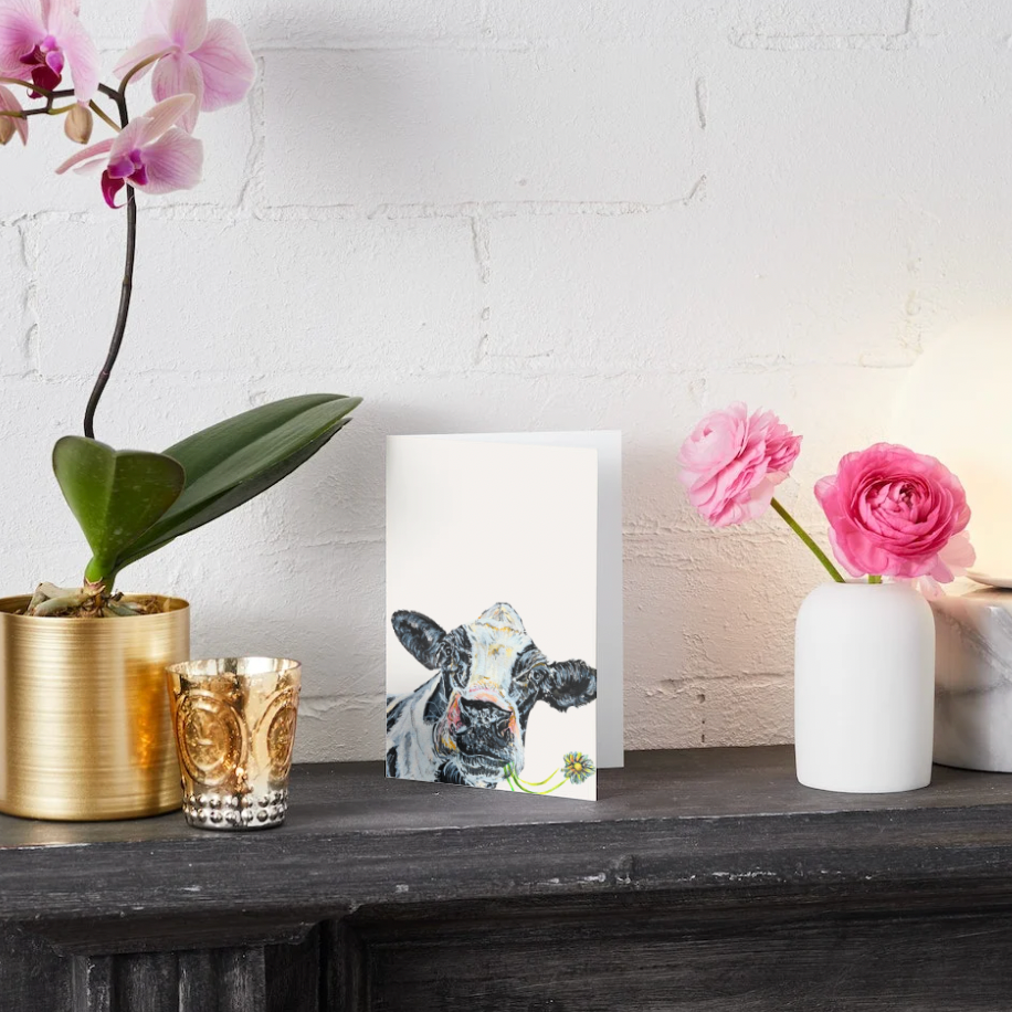 Studio Six – Set of 6 Greeting Cards